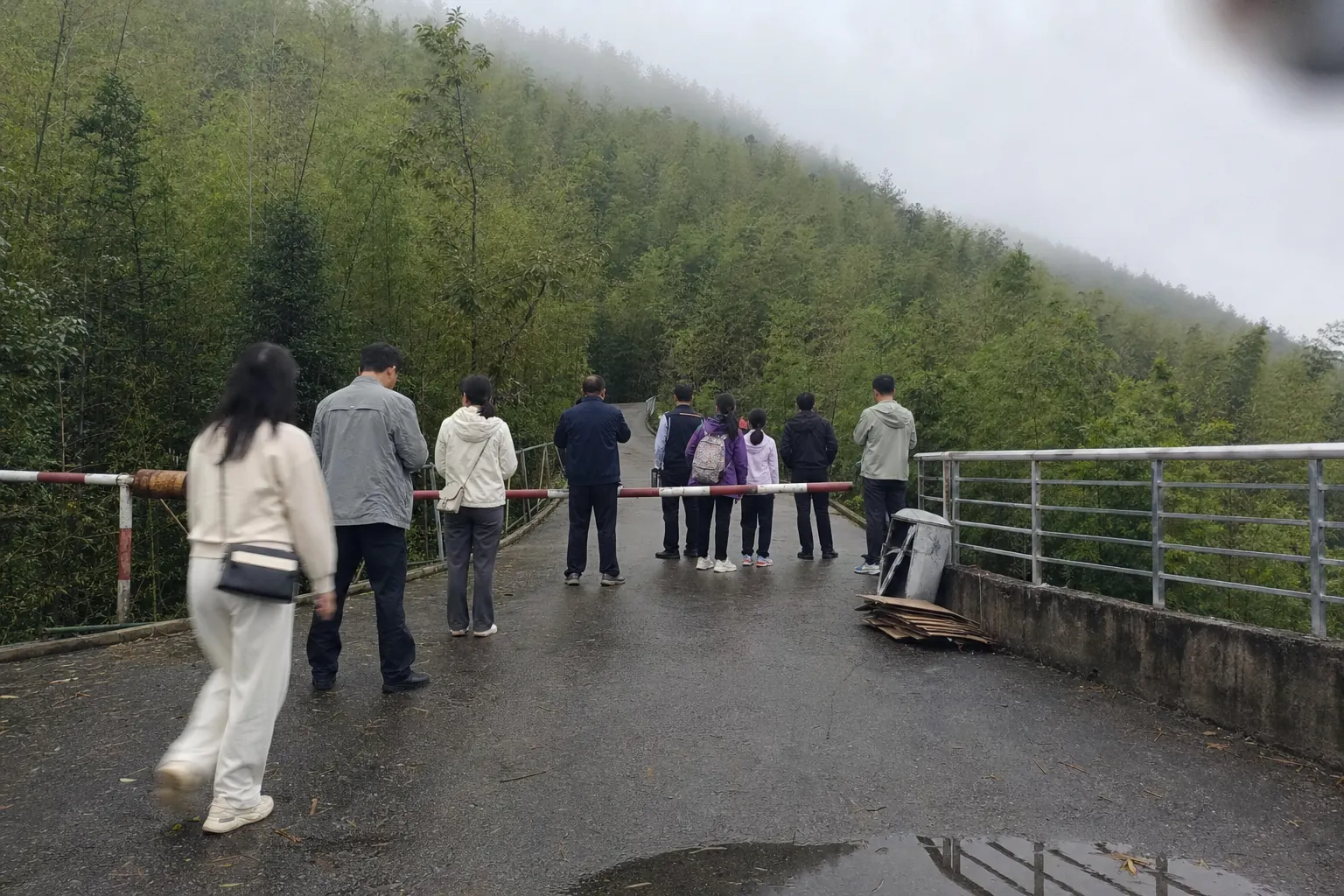 People waiting from behind at a low barrier where a narrow road enters dense bamboo under grey cloud