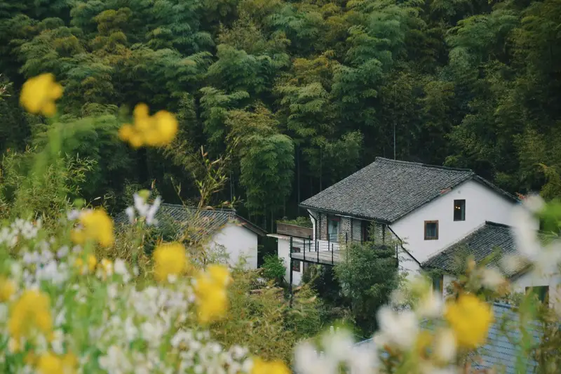 cipo Moganshan Holiday Home, listing photograph