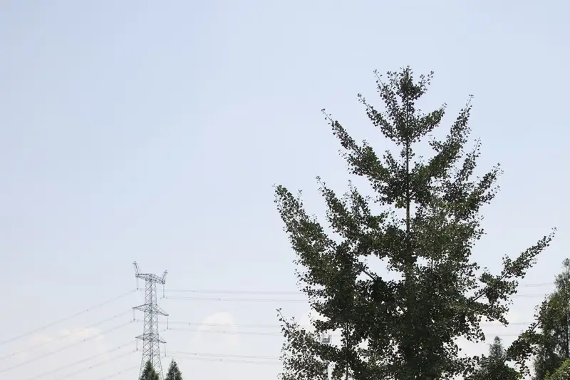 TAOQI FOREST VILLA, listing photograph