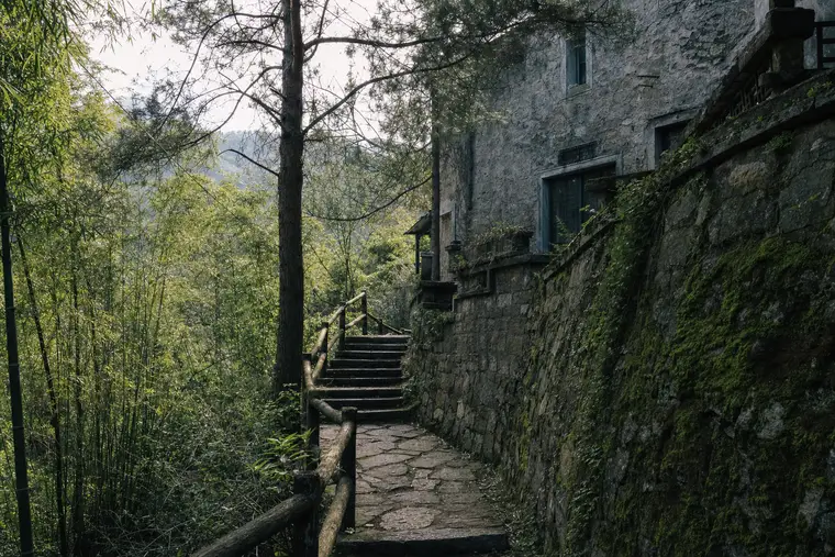 A stepped stone path climbing past old stone villas in the Moganshan forest